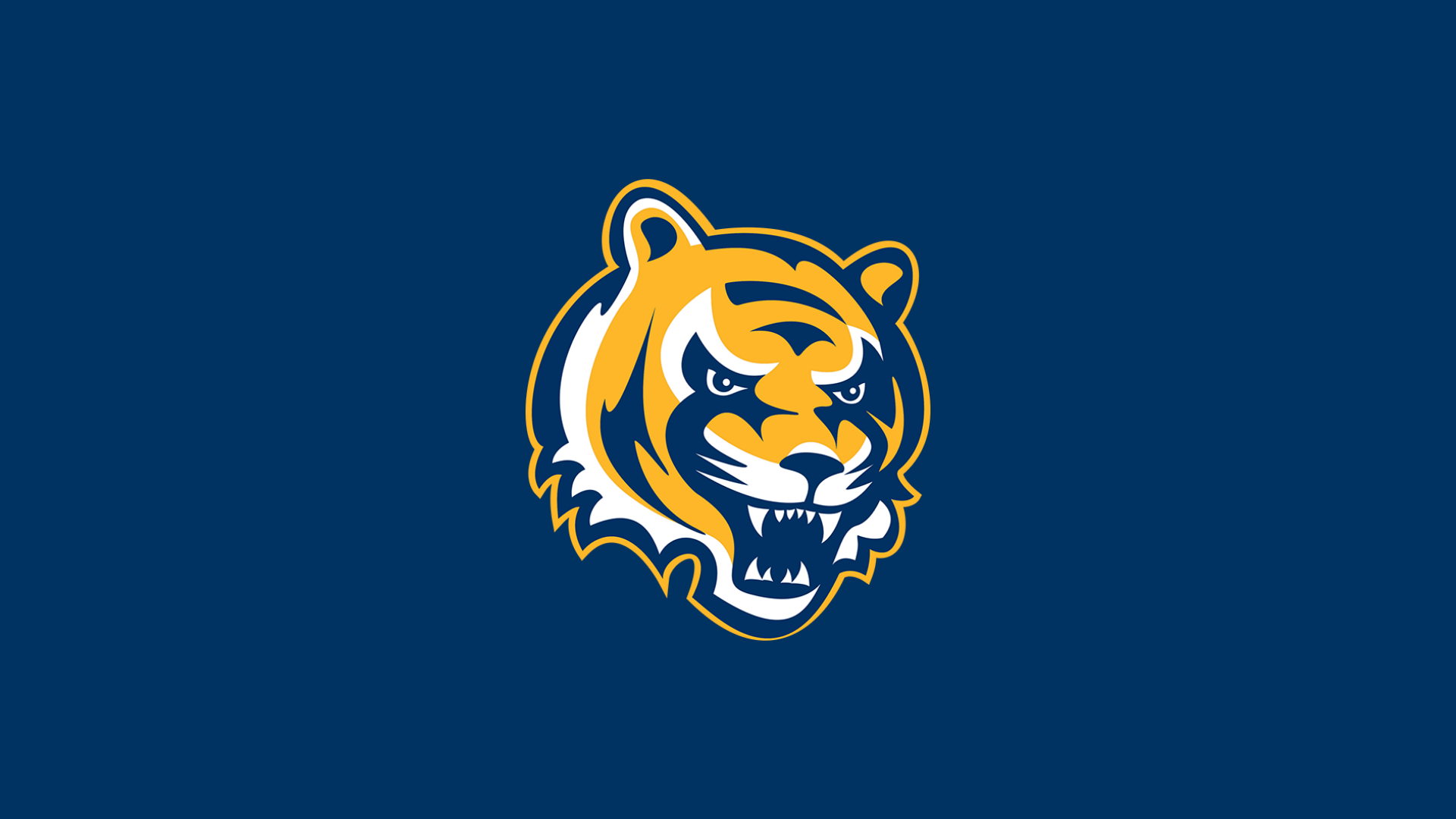 2018 Tiger Softball Introduction Videos